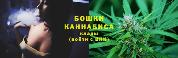 соль ск Кукмор