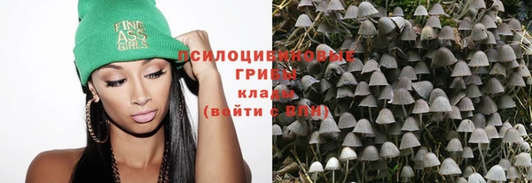 соль ск Кукмор