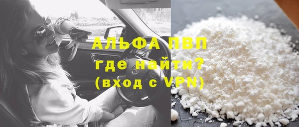 стафф Ладушкин